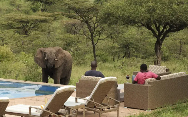 Spirit Of The Masai Mara