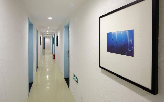Lotus International Youth Hostel