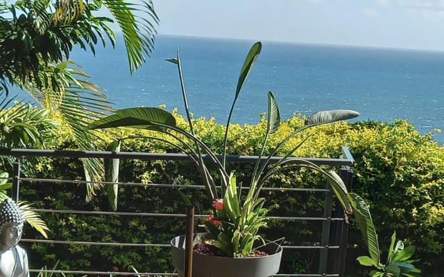 Suite INDIGO JACUZZI PRIVE PISCINE VUE MER acces cuisine laverie