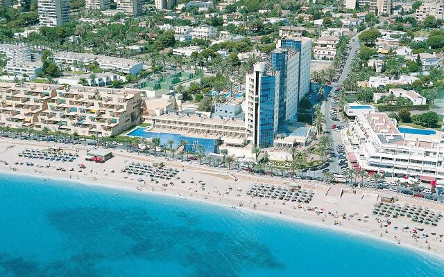 Moon Dreams Portomagno