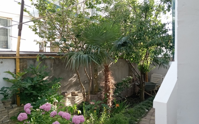 Guest House Viktoria