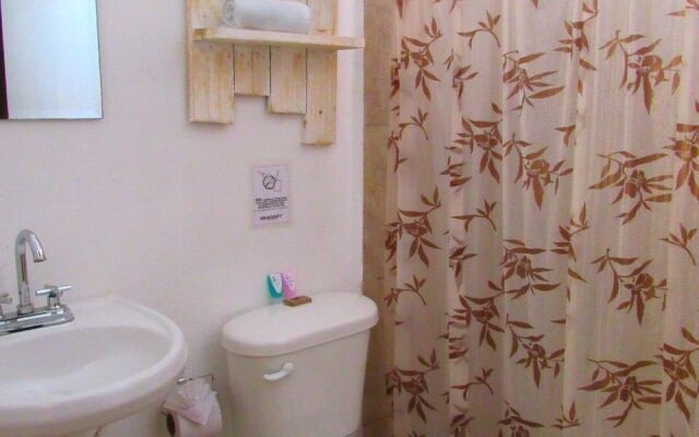 Coconut Hotel Boutique