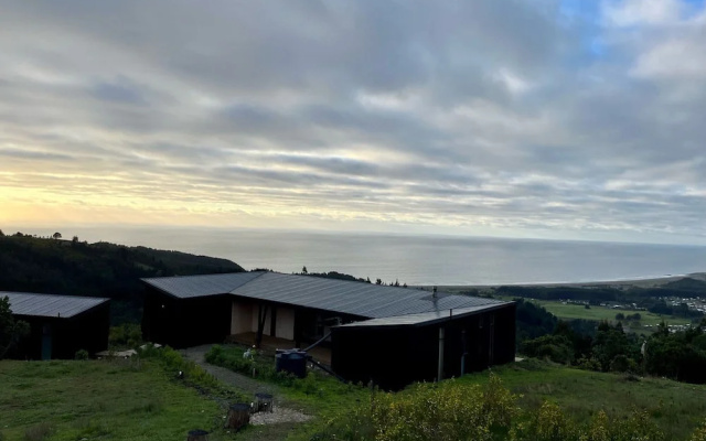 Olas de Buchupureo - con vida de campo