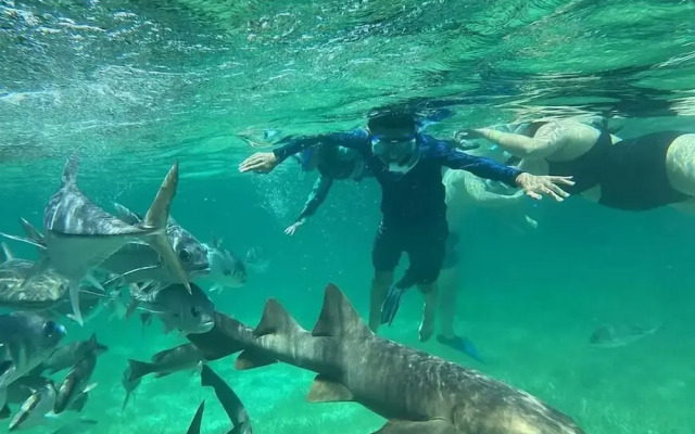 Villas De Isla Bonita - B3