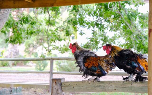 De Bos Guest Farm