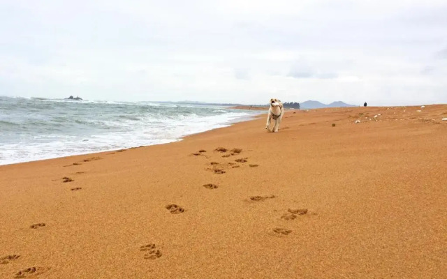 Boao Captain Vegetarian B&B