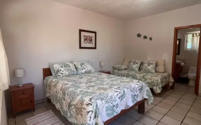 Cabo Pulmo Beach Resort