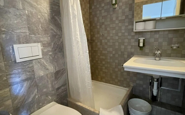 Central Beauty Scenery Apartment