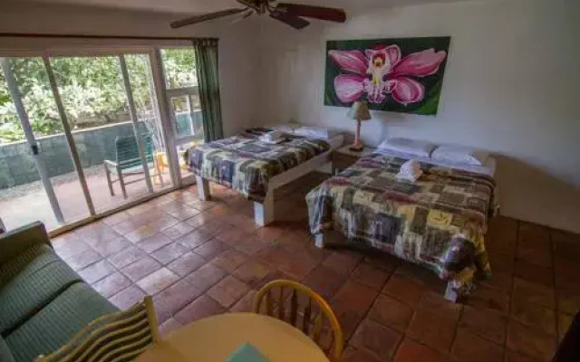 Backpackers Vacation Inn and Plantation Village