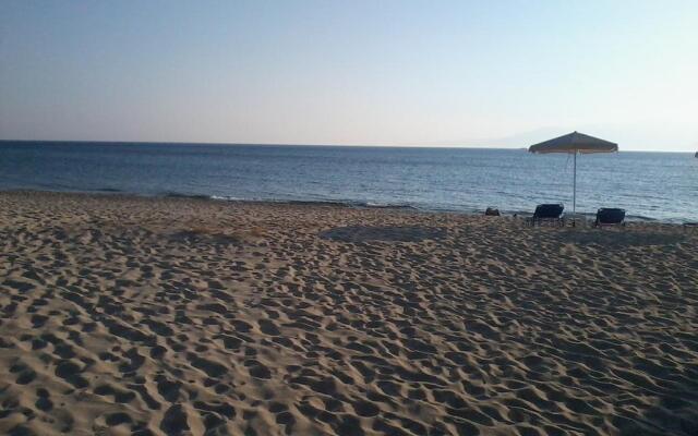 Acti Plaka