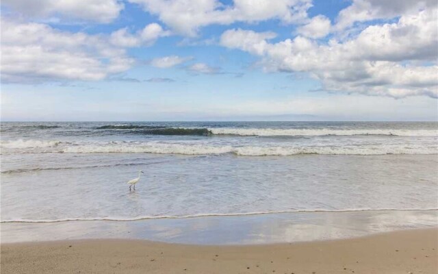 Beach Daze