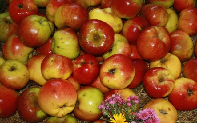 Albergo Diffuso Faller