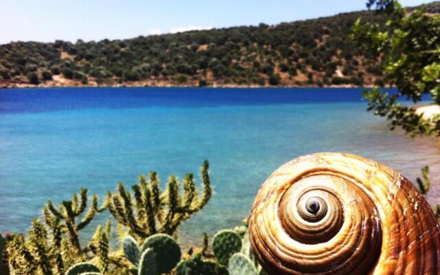 Spacious Sea Front Apartment - Porto Bouffalo - Evia