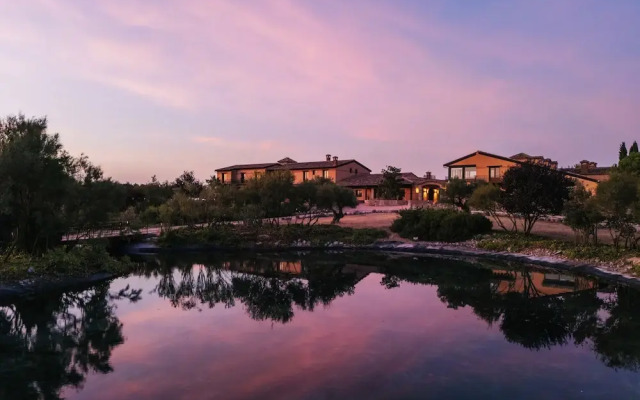 Abba las Viñas Tiedra