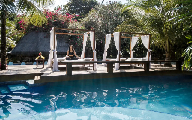 Sombra e Agua Fresca Floresta