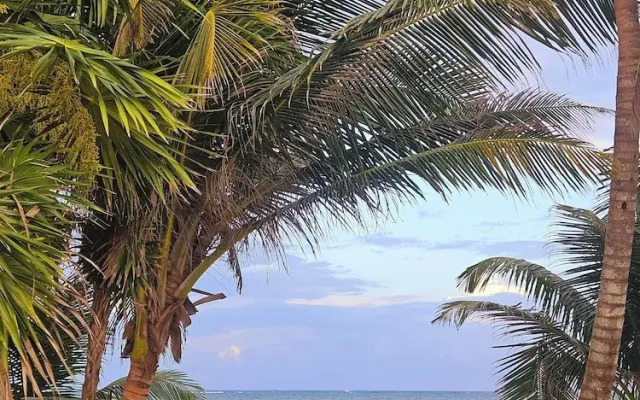 Sand and Sky Resort