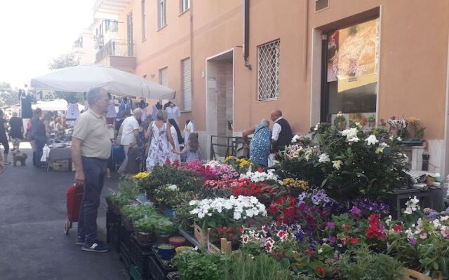 Your Nest in Cornelia