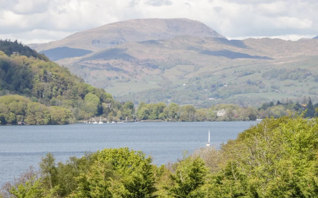 Watch Tree Apartment