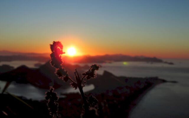 Vidigal Hostel Bella Mar e Sol