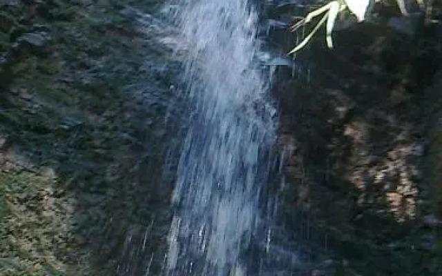 Rendezvous Rafter Camp