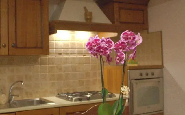 La Rosa dei Trulli B&B