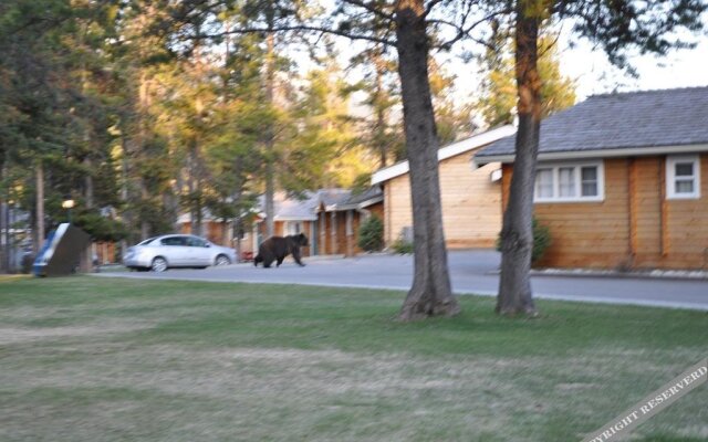 Jasper House Bungalows