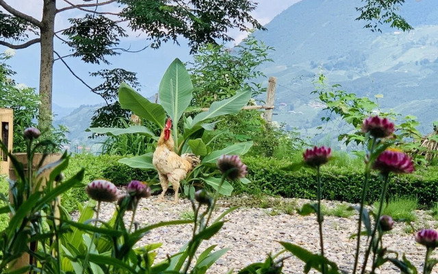 Sapa Rosie House - Mountain Retreat