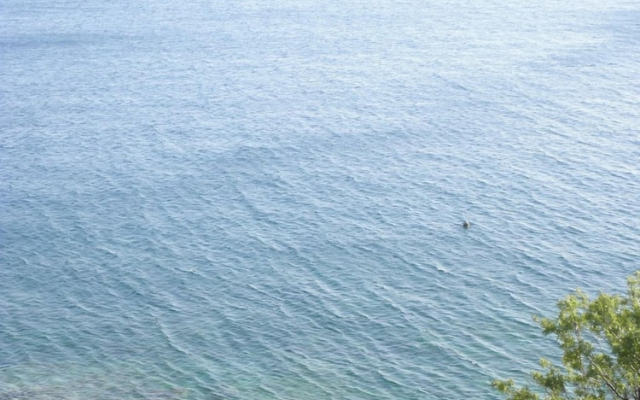 Marija - 30m From the Beach - A1