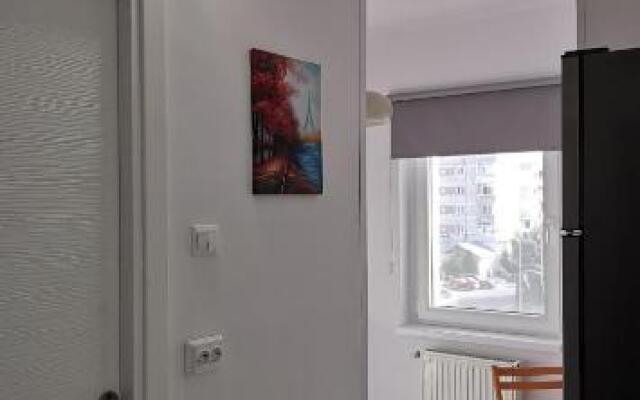 Marcos Apartments Nice and Cozy Mioveni