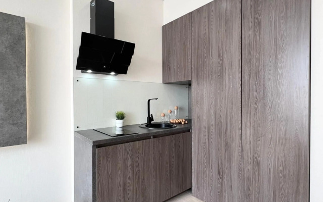 Аппартаменты SMART (в новом доме)