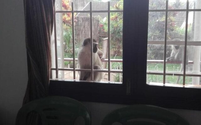 Sunbird Backpackers