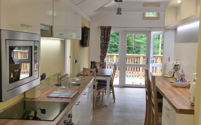Squirrel Lodge 41 with Hot Tub, Newton Stewart