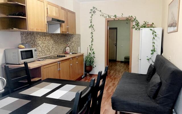 Апартаменты на улице Радищева 33