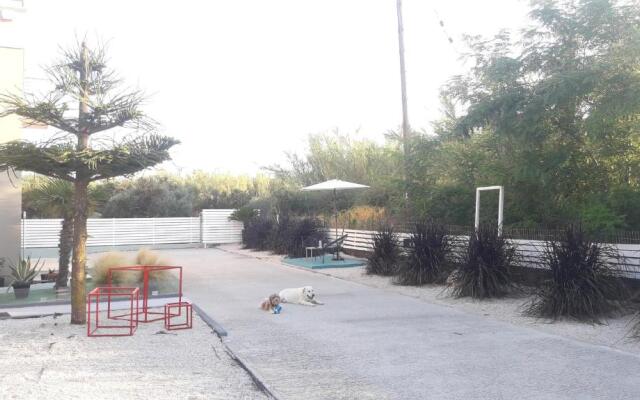 3 Olive Trees