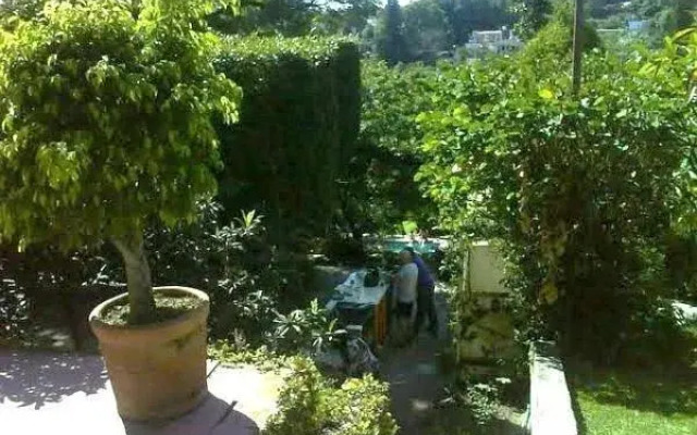 Hotel Bungalows Las Rosas