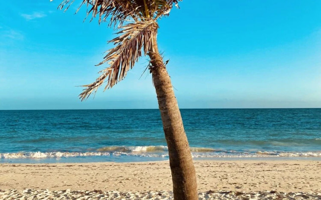 The Lookout - Coral Beach