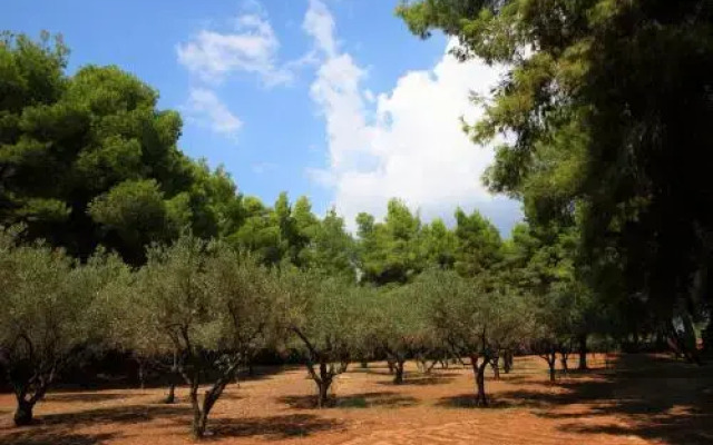 Squirrel Beach Front Villa, Metamorfosi