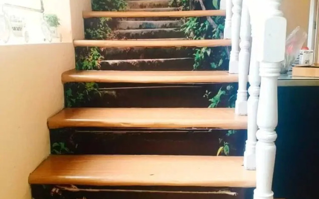Hidden Garden - Hostel