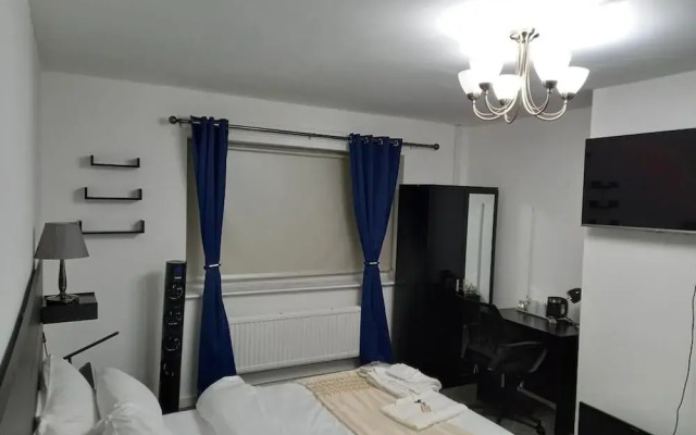 The Grand Eloquence of Beauty