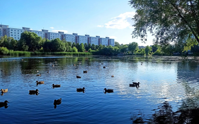 Апартаменты на улице Чуйкова 31