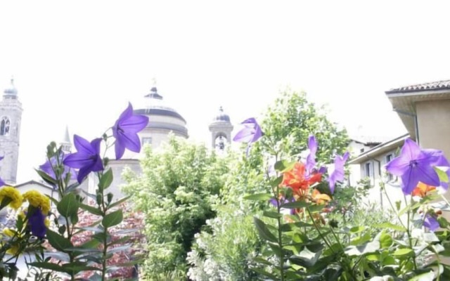 Fleur de Lis Belvedere