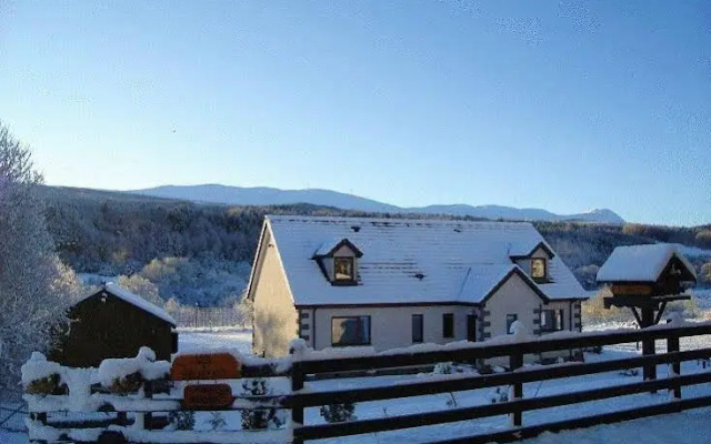 Serendipity Bed And Breakfast