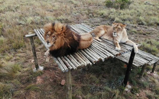 Shakama Private Game Lodge & Spa