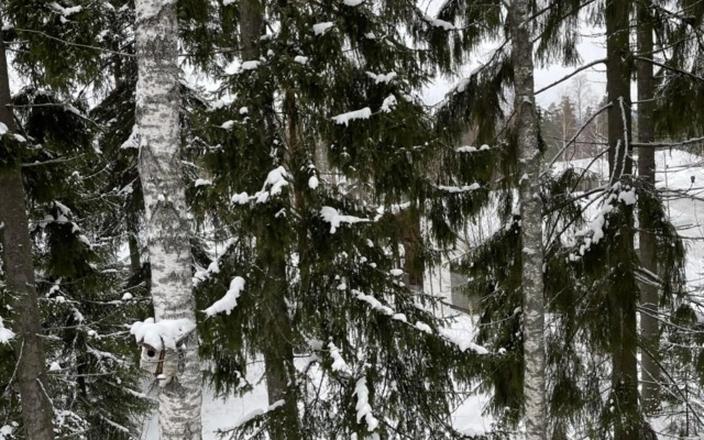 Дом у спа-центра и озера