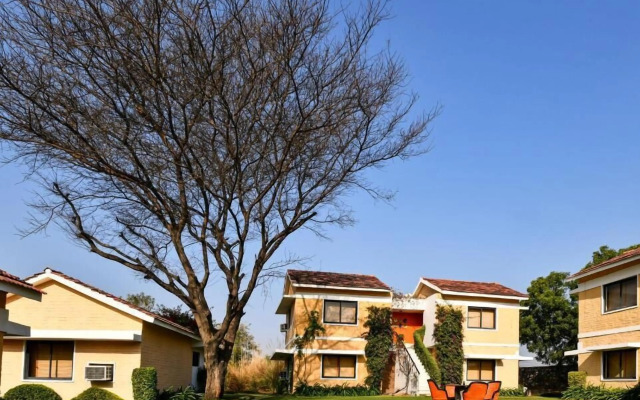 Clarks Safari Pushkar