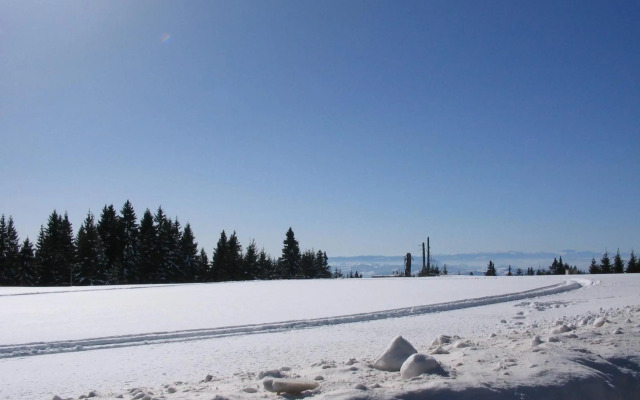 Villa Kostic Kopaonik