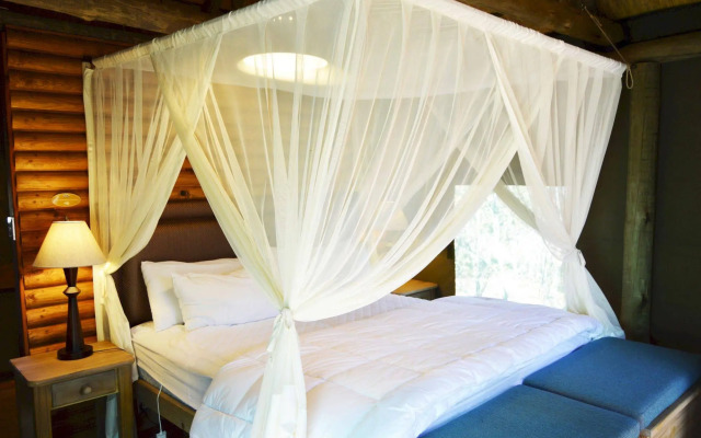 Honeyguide Ranger Camp
