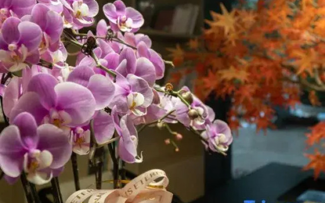 Waiting Hotel (Shanghai Hongqiao Tianshan Road)