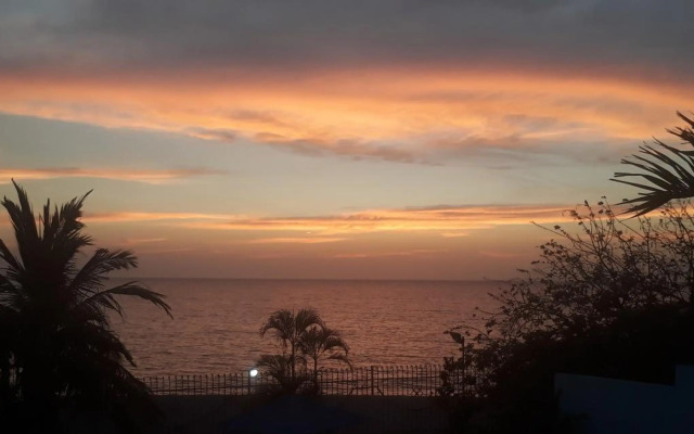 Apartamentos Freddy's Tours