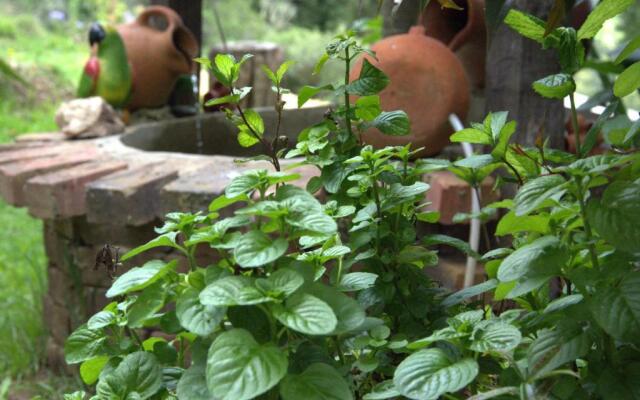 Finca El Pedregal Guatavita